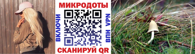 Псилоцибиновые грибы Psilocybine cubensis  Дмитровск 